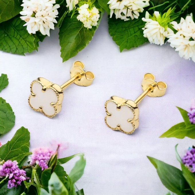 PhotoRoom_20231025_174710.JPG